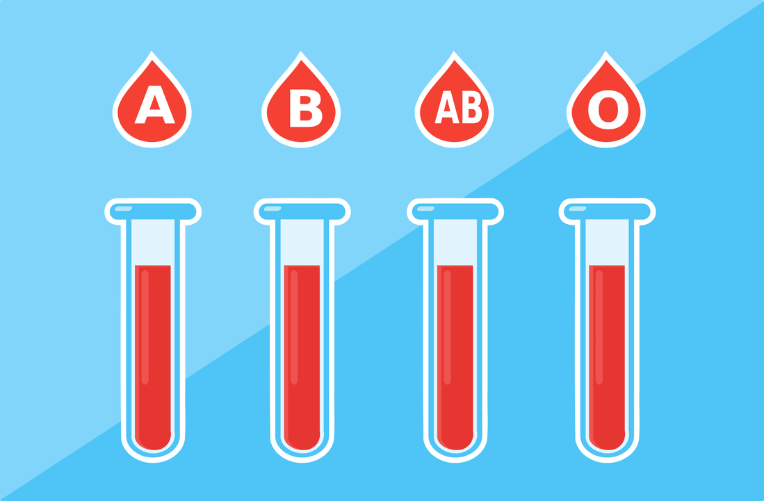 Il existe 4 groupes sanguins – A, B, AB, O